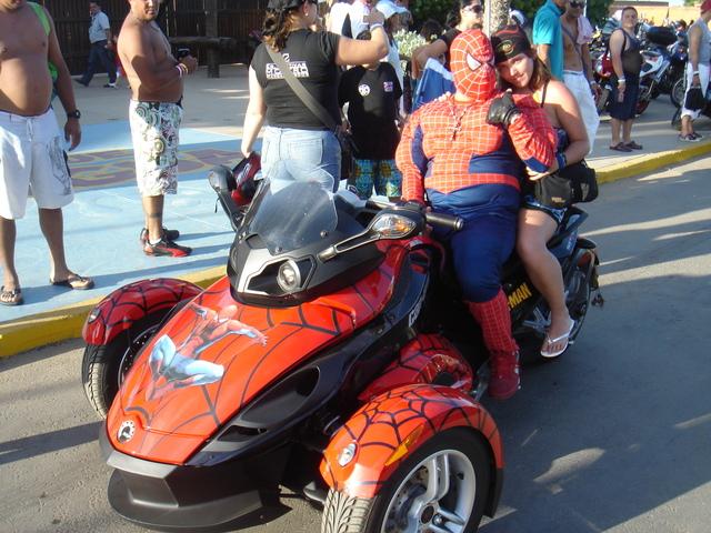 Forum member supplied image with no explanatory text