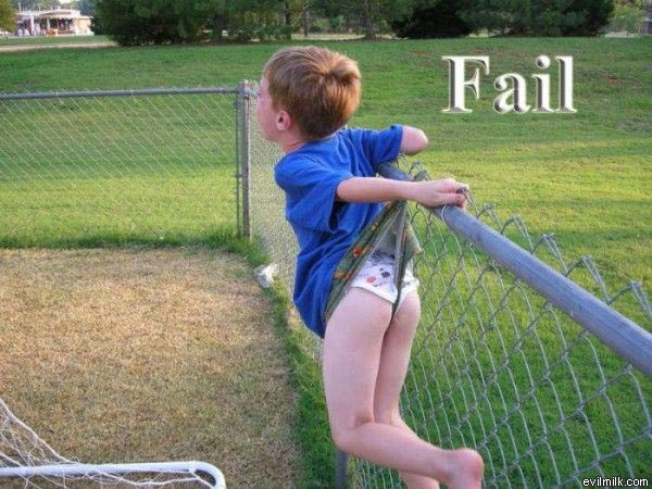 Forum member supplied image with no explanatory text