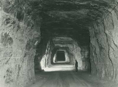 Forum member supplied image with no explanatory text