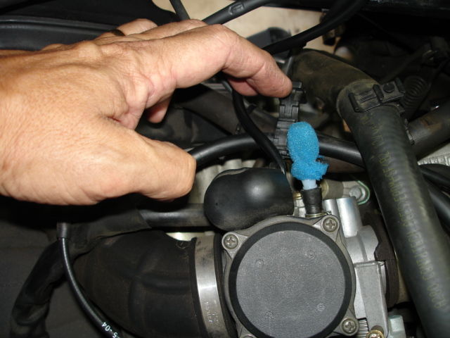 Forum member supplied image with no explanatory text