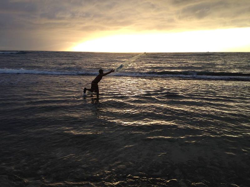 Kauai Jan '15