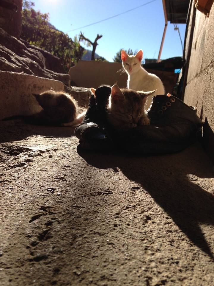 Guatemala, Jan '16