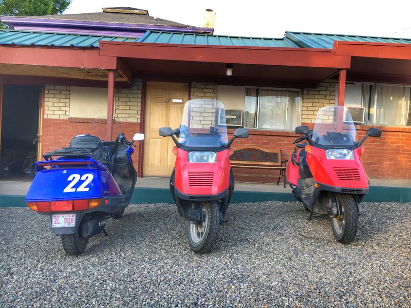 Trinidad. Helixes...Helixi?