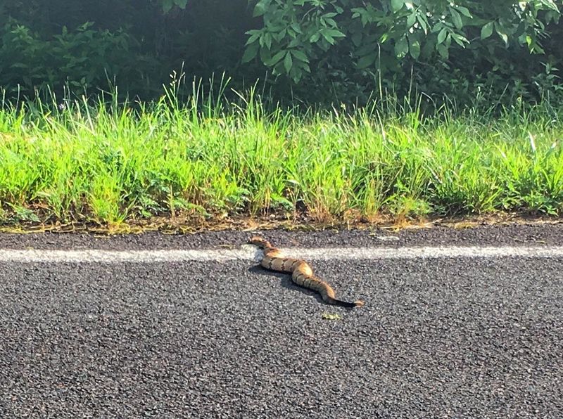 Watch yer step when you pull off to piss....