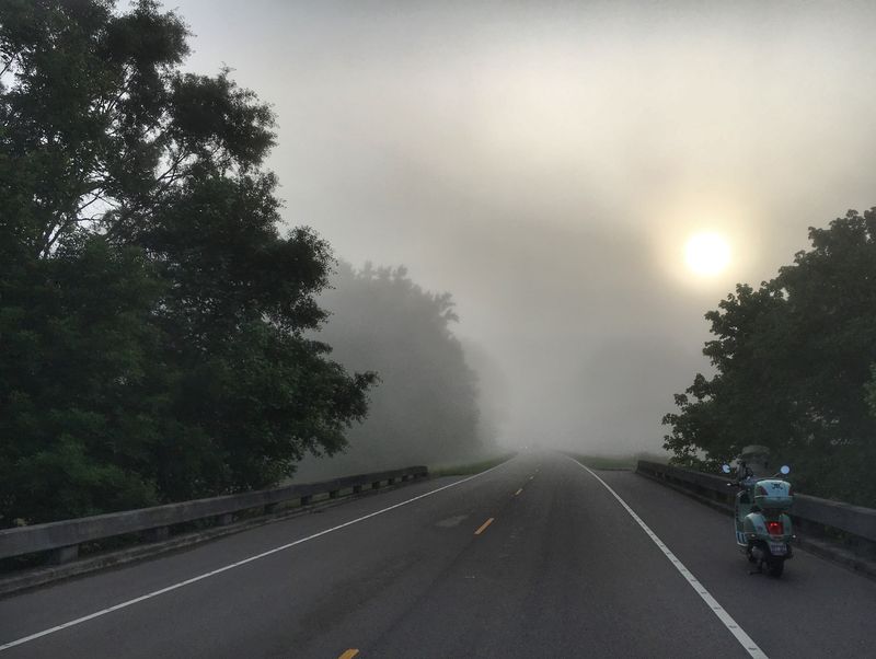 Natchez Trace, Miss. My dad lived a mile off of the Trace back in the early 80s and I spent two summers logging 20,000 miles on the backroads of rural Mississippi...lots of deep memories here.