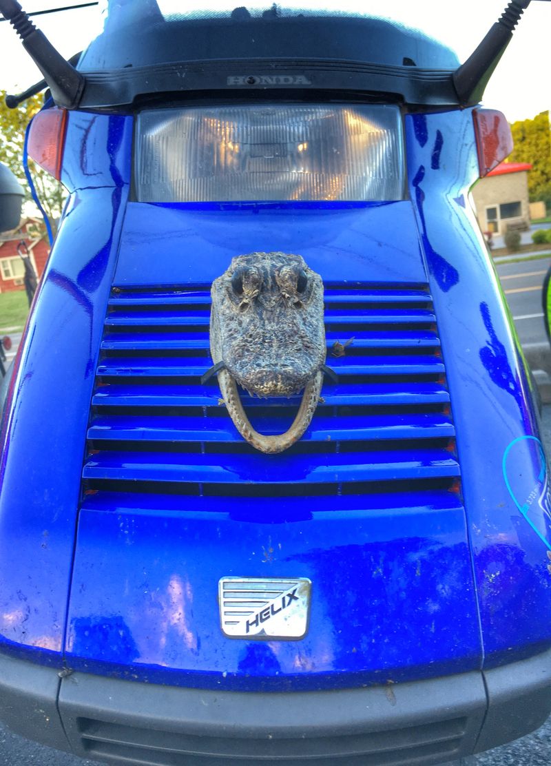 The Helix dudes, a breed apart.  Just cruisssssing along...at breakneck speed, all chillaxed and mellow....