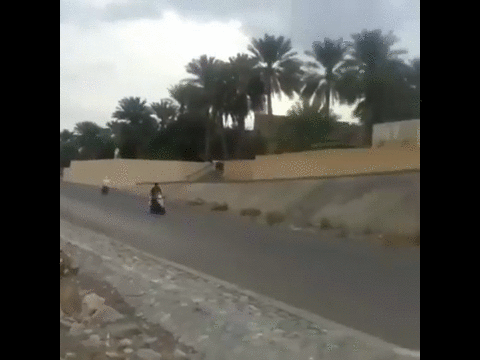 Forum member supplied image with no explanatory text