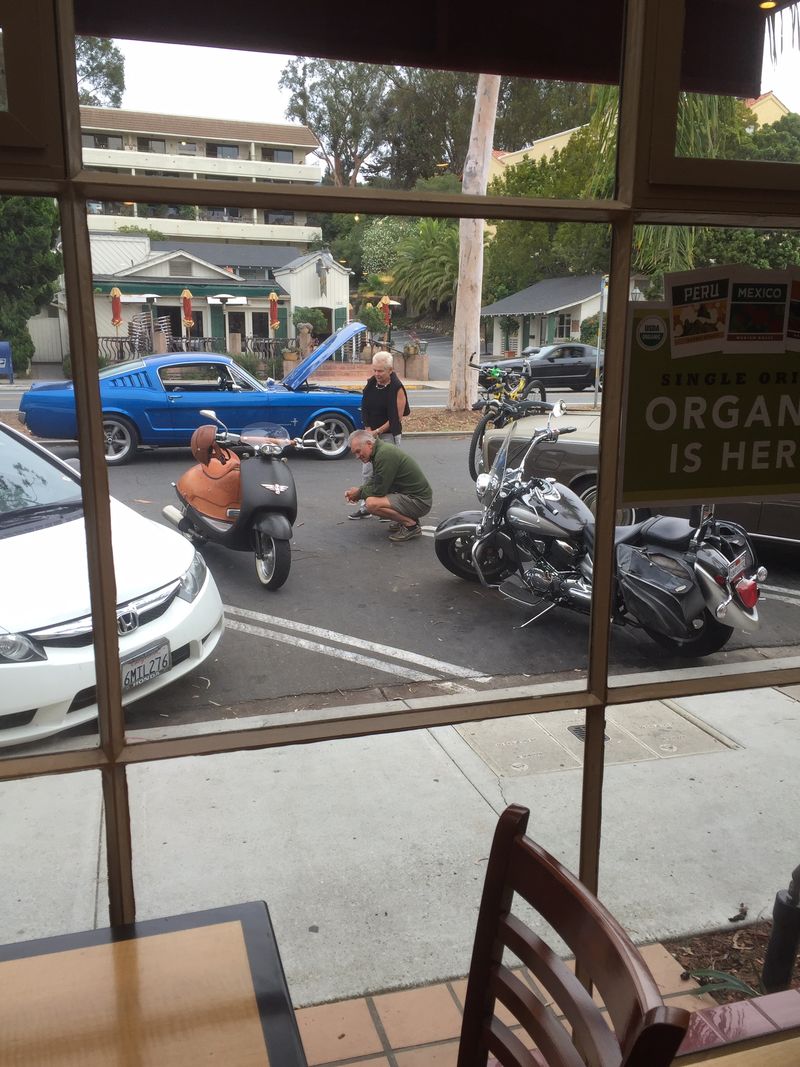 Forum member supplied image with no explanatory text