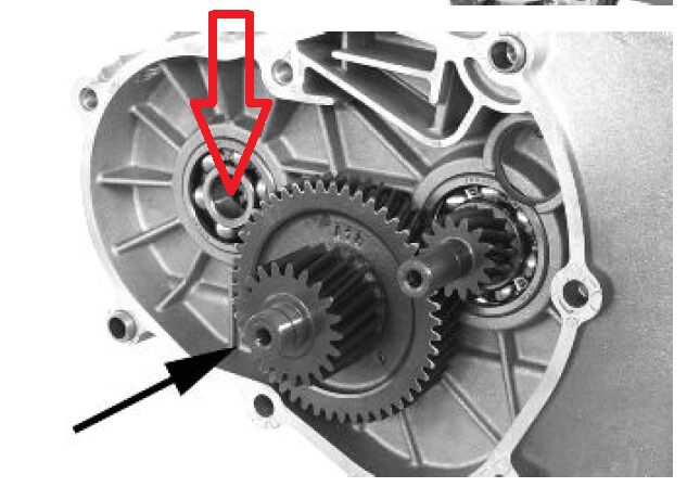 Forum member supplied image with no explanatory text