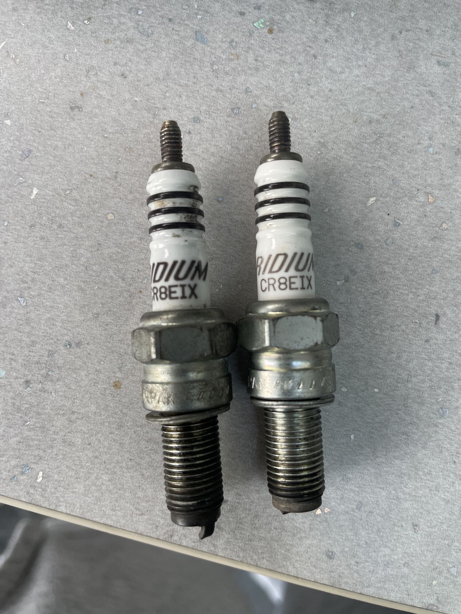 Forum member supplied image with no explanatory text