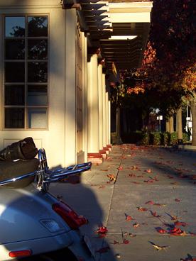 Forum member supplied image with no explanatory text