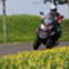 @the_danster avatar