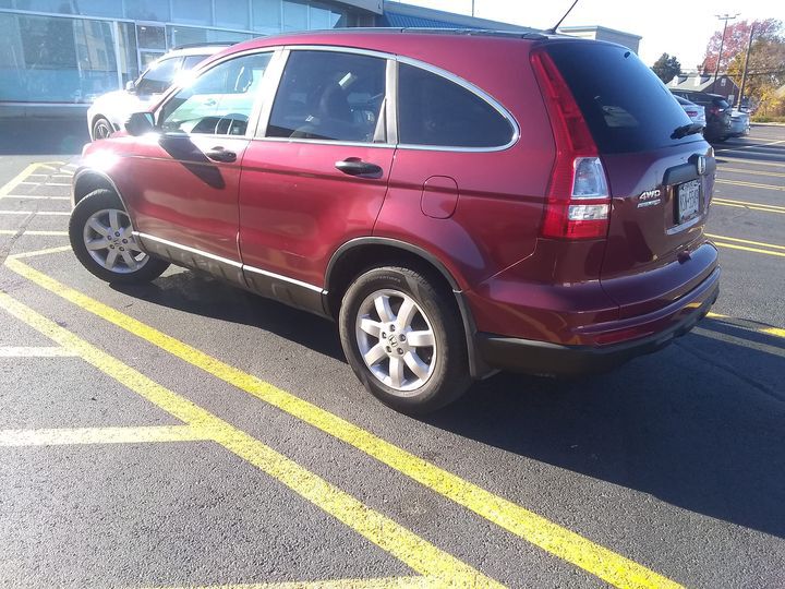 Forum member supplied image with no explanatory text