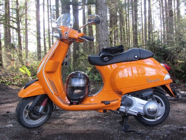 Perfect day for a ride in the Capitol Forest
