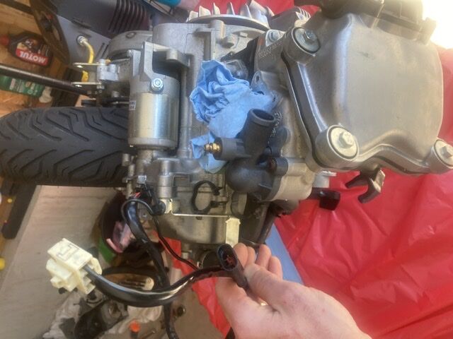 Forum member supplied image with no explanatory text