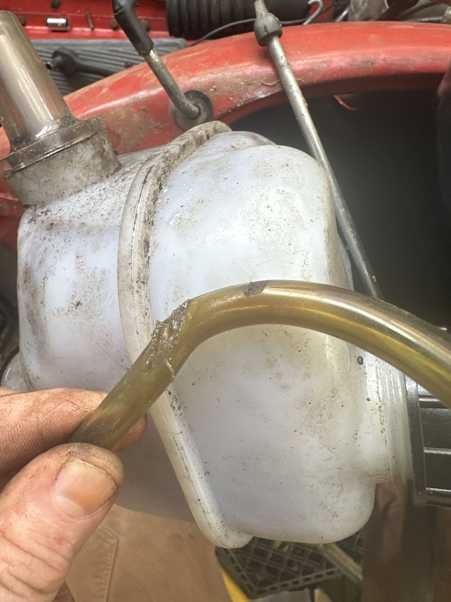 Forum member supplied image with no explanatory text