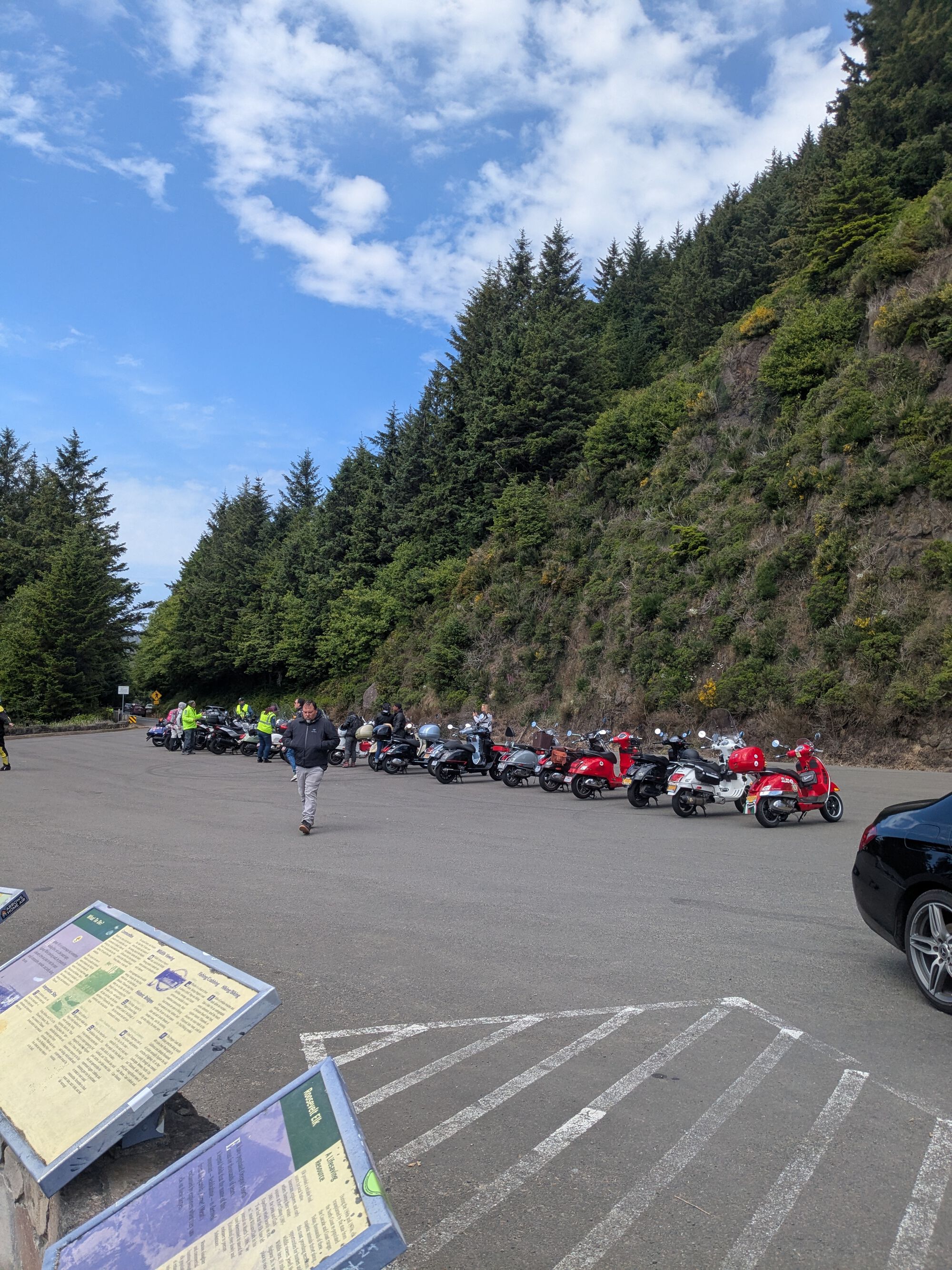 Forum member supplied image with no explanatory text