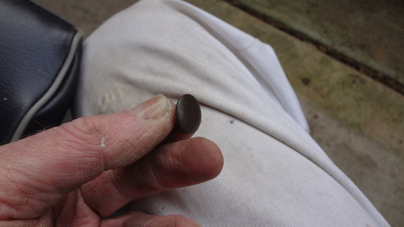 Forum member supplied image with no explanatory text