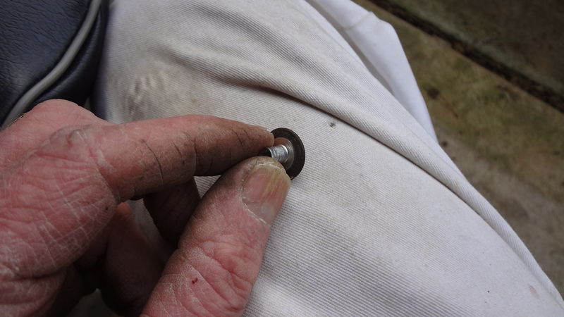 Forum member supplied image with no explanatory text