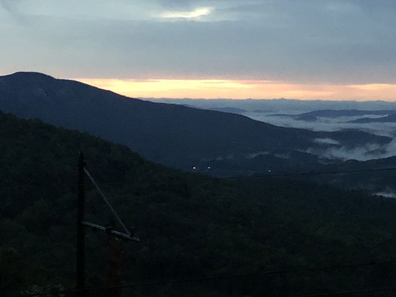 Forum member supplied image with no explanatory text