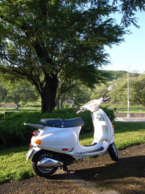 Forum member supplied image with no explanatory text