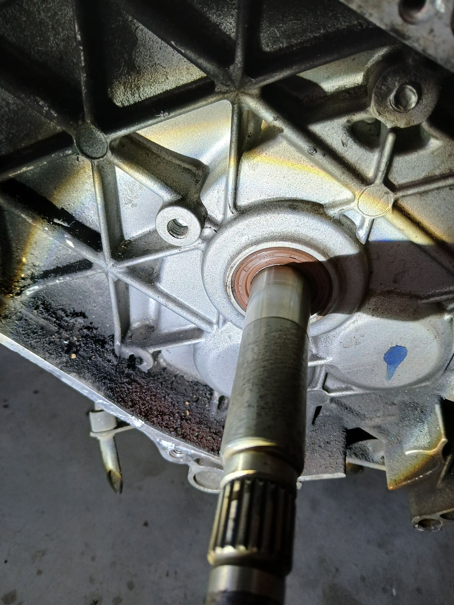 Forum member supplied image with no explanatory text