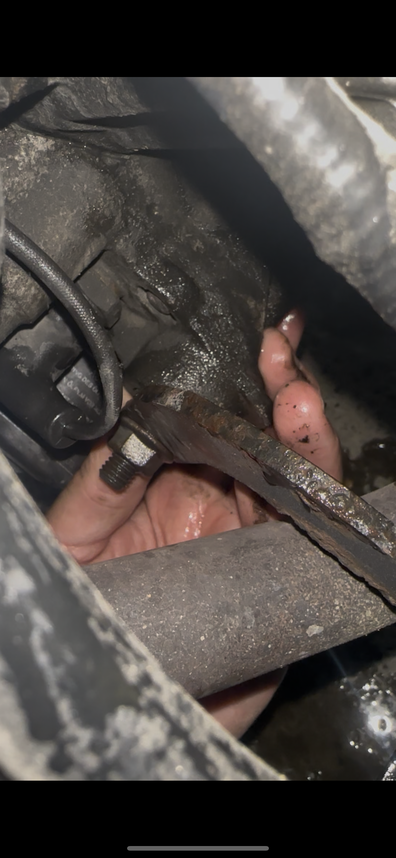 Forum member supplied image with no explanatory text