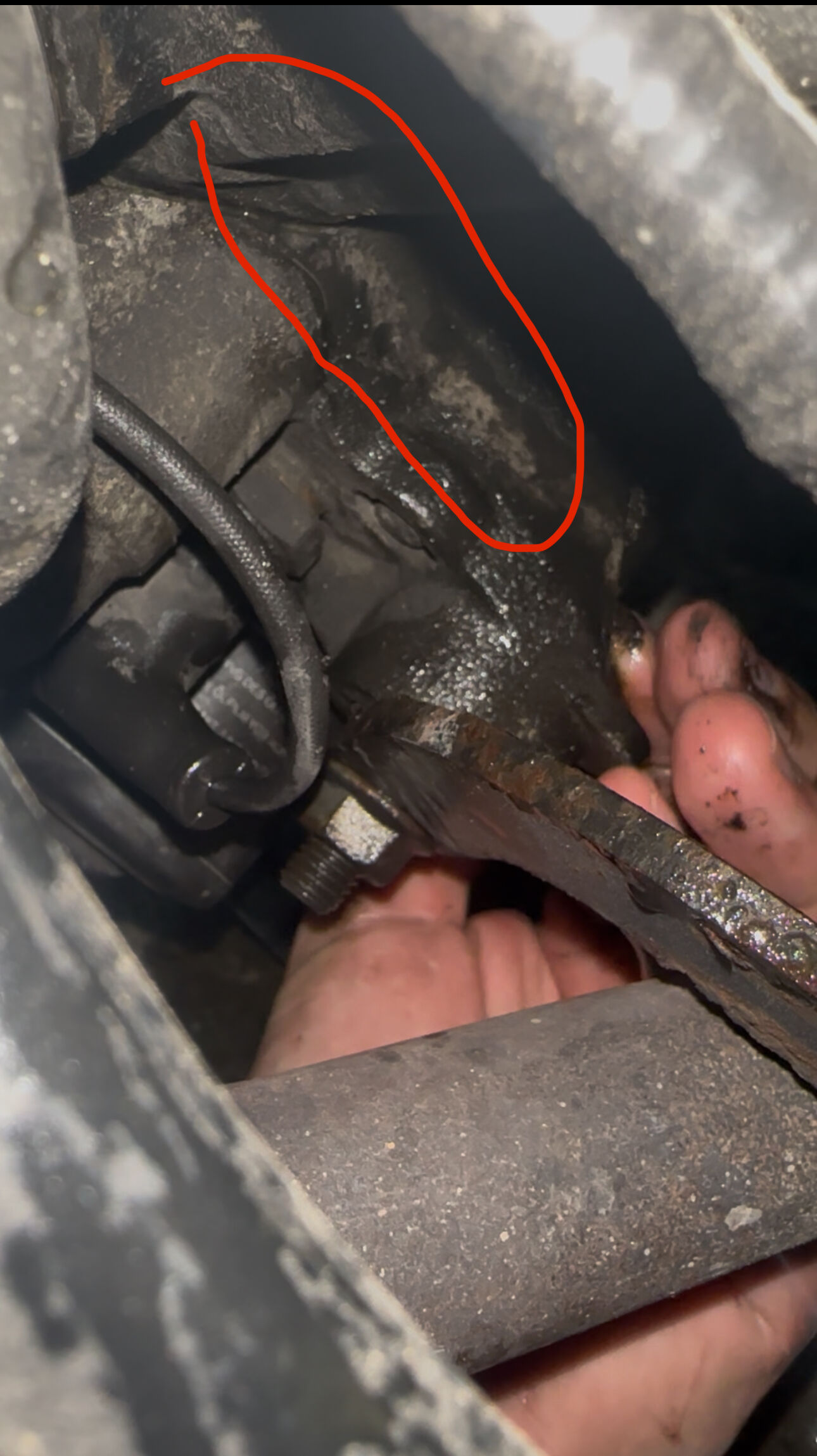 Forum member supplied image with no explanatory text