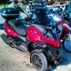 @trirol1 avatar