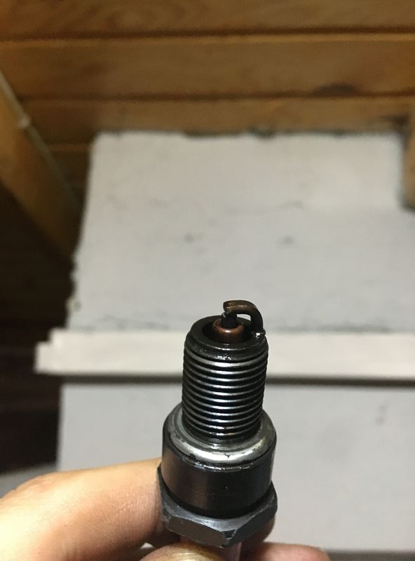 Forum member supplied image with no explanatory text