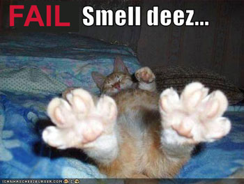 Forum member supplied image with no explanatory text