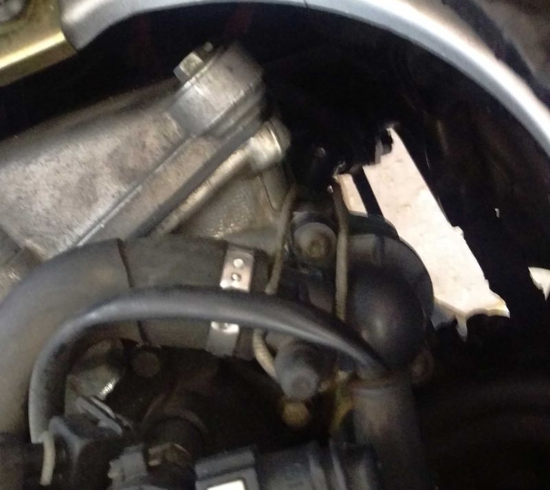 Hair band has lasted a week!