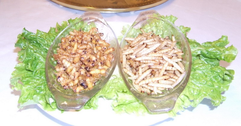 Forum member supplied image with no explanatory text