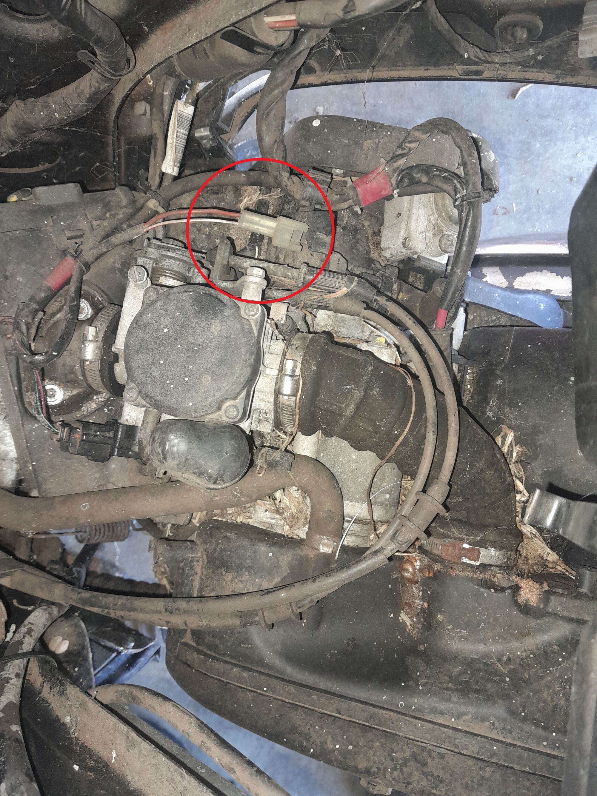 Here is the cable circled (it's a very dirty engine, I know :()
