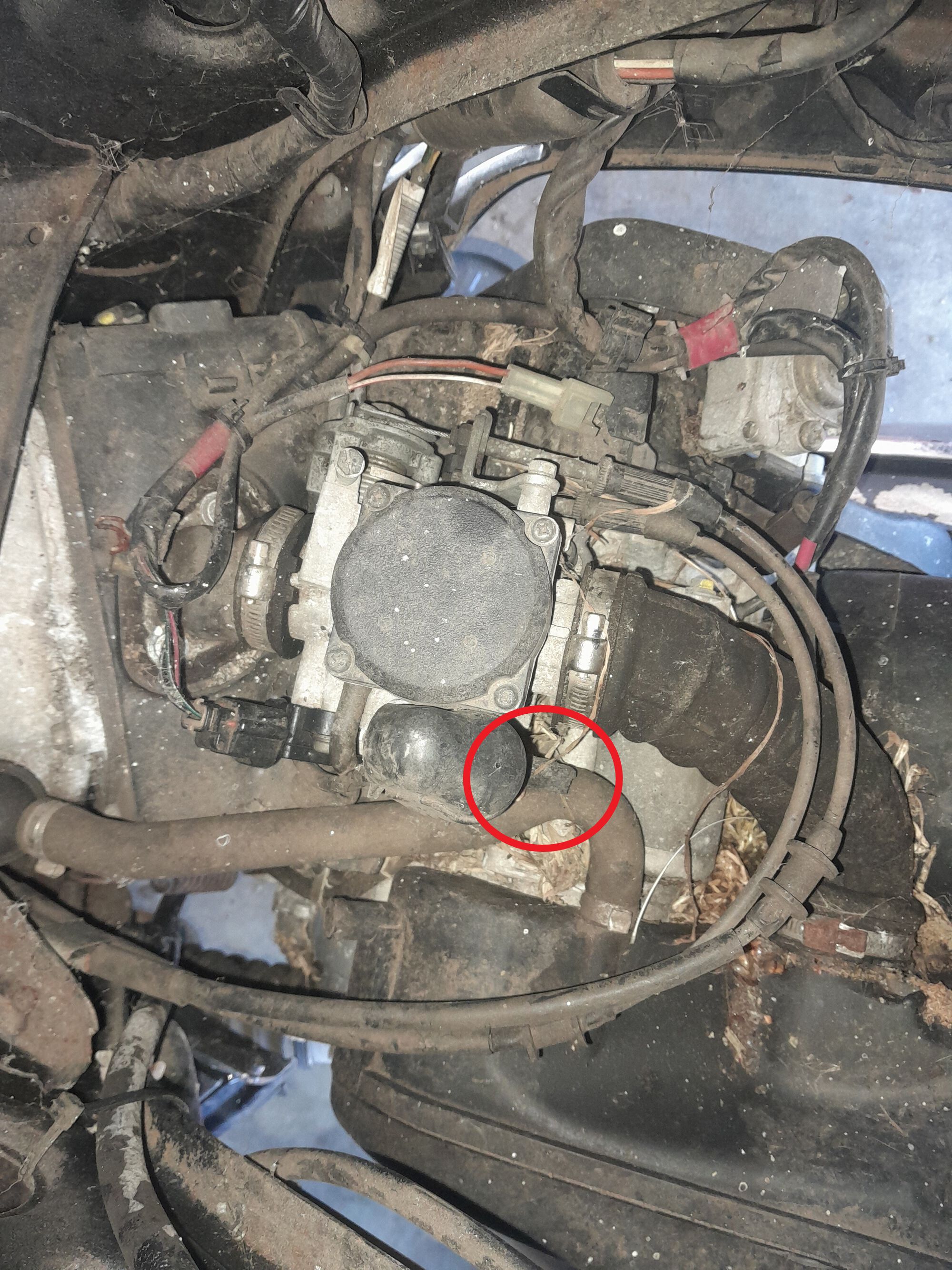 This is where the blue hose leads to on the carburetor