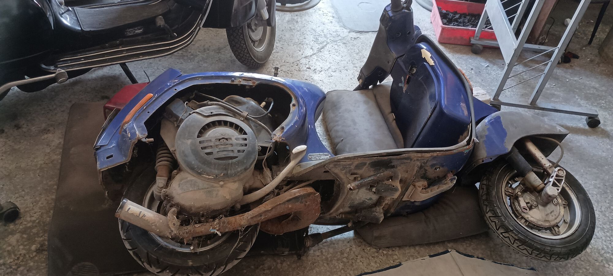 Oh you poor filthy Bird, wonder who can clean you up nicely?