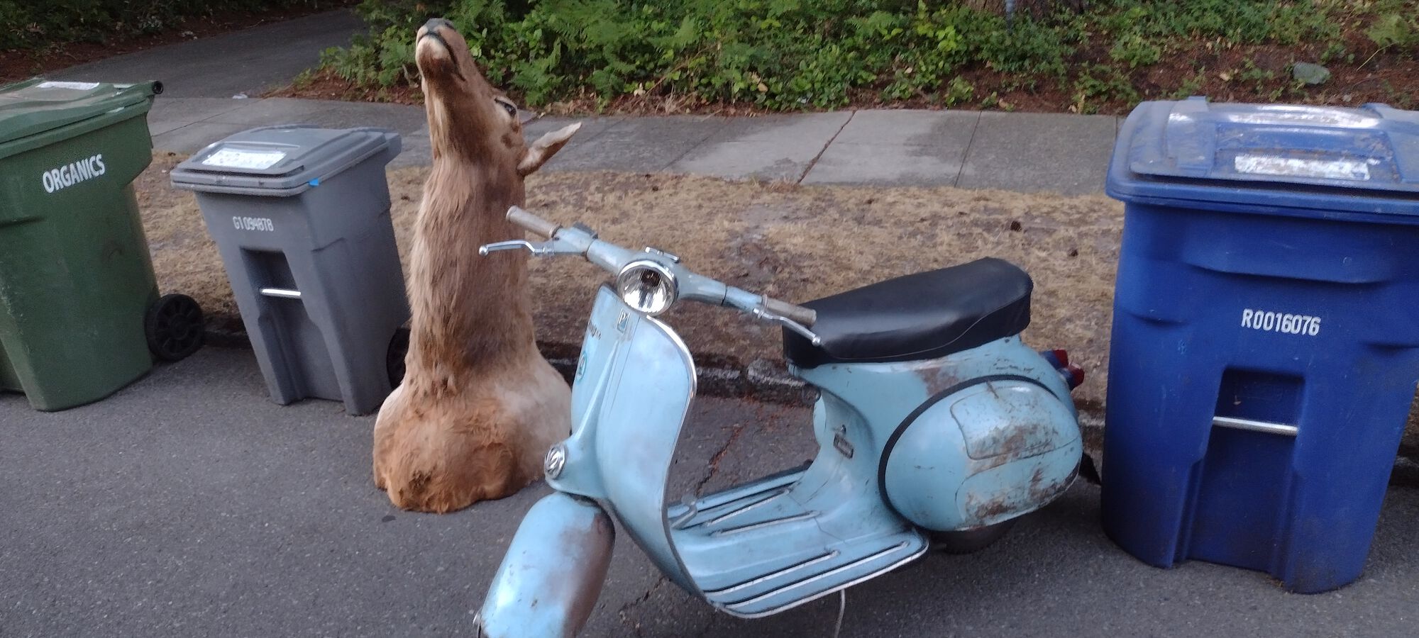 Check out new leggy & floor trim. This bike is NOT YET complete trash!