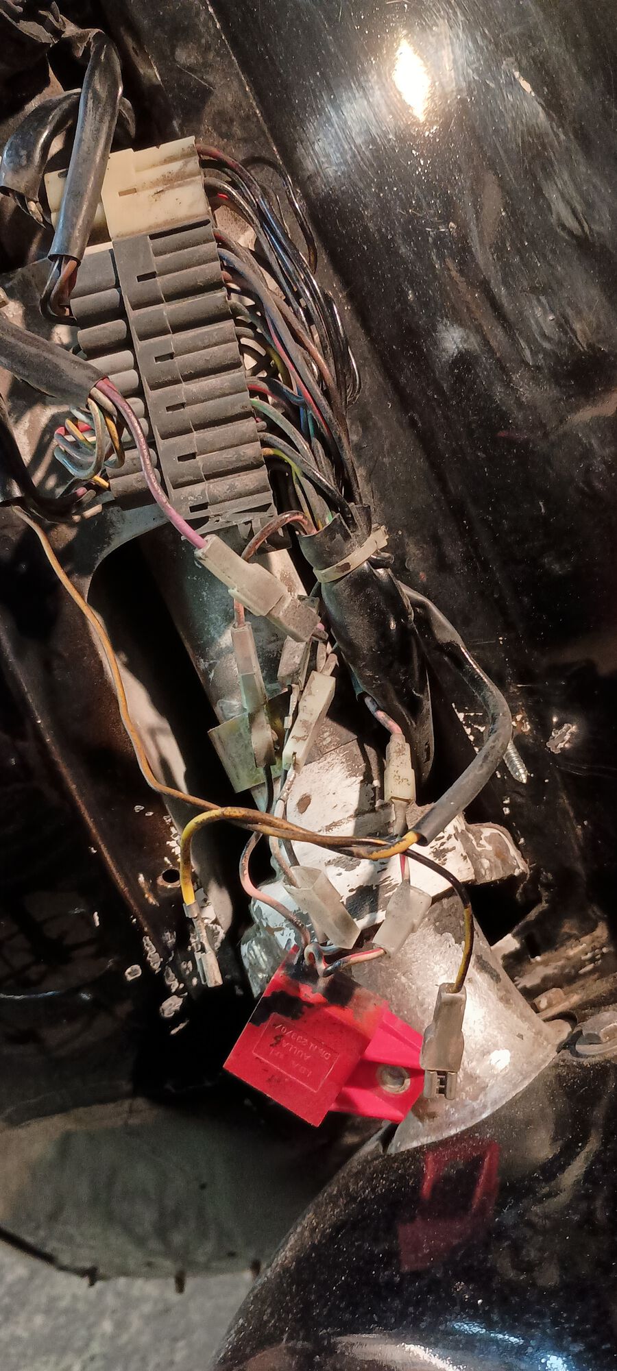 This little guy? Could this be the source of all my grief?