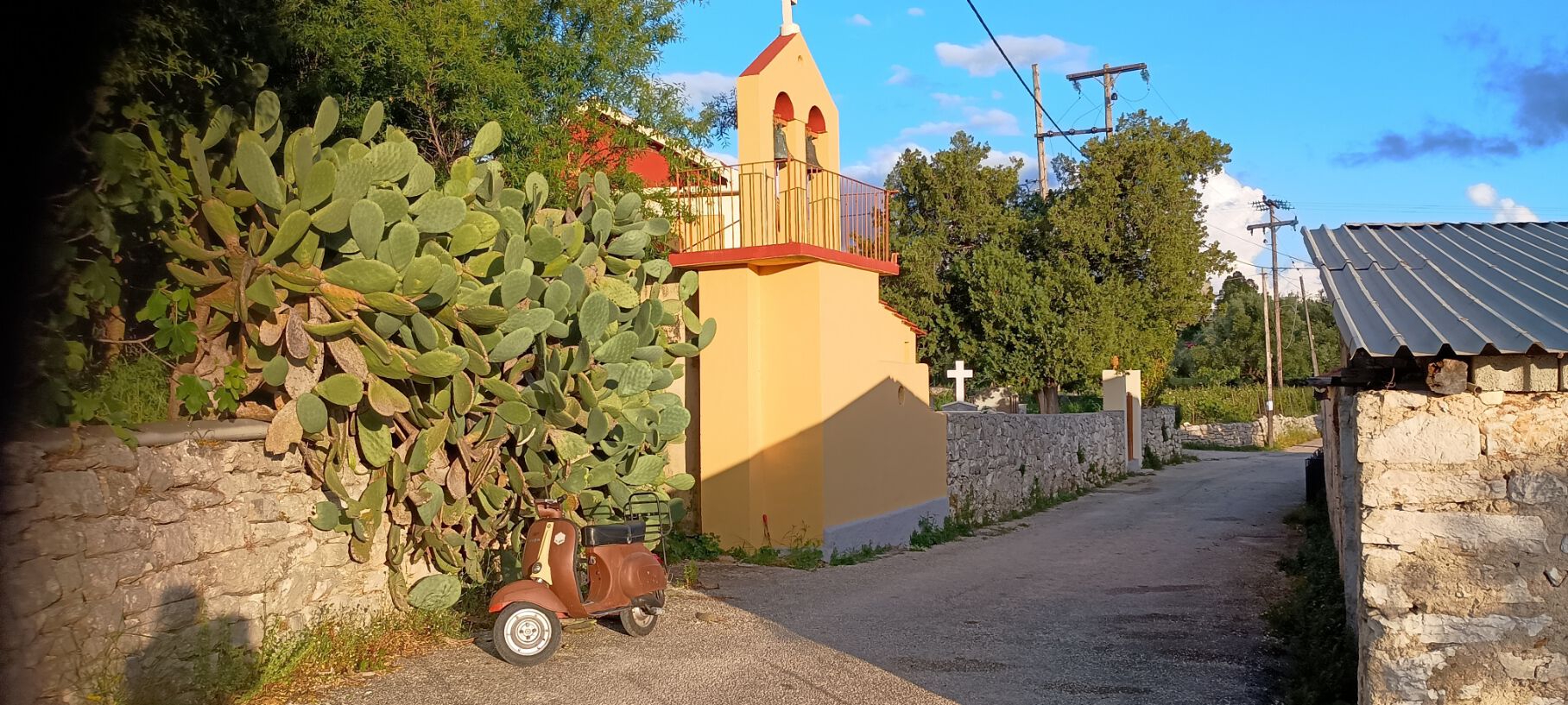 That huge cactus is a BARBAROSICA or prickly pear. The tasty fruit has the nastiest little tiny stickers all over it, you really need good gloves when harvesting.