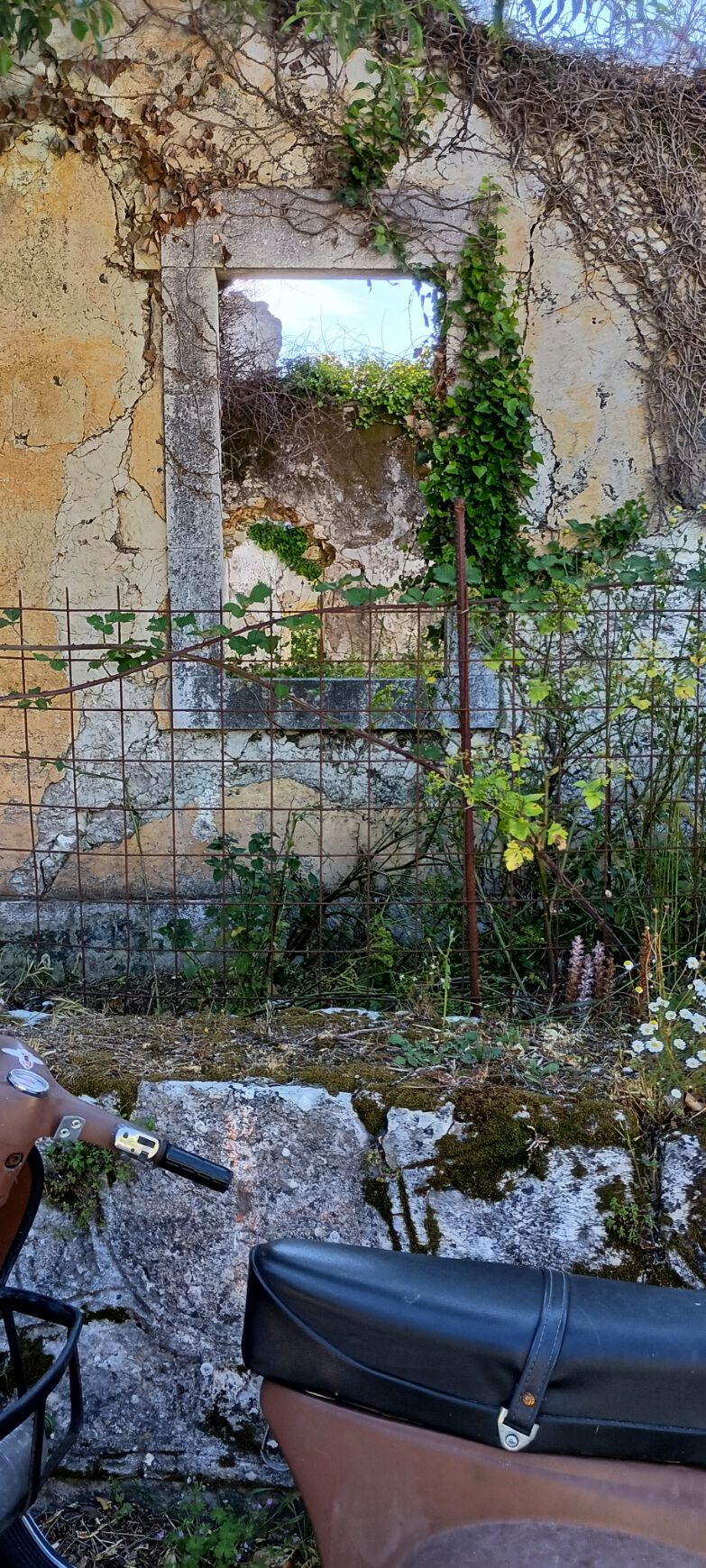 here's a peek inside