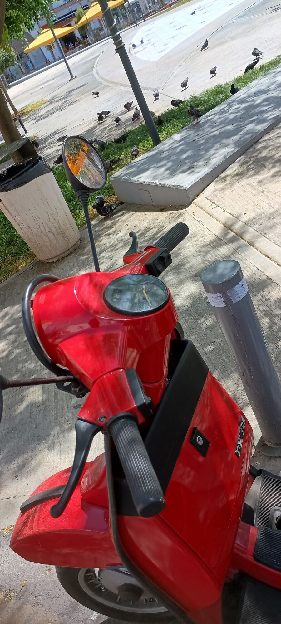 I like to feed the pigeons here