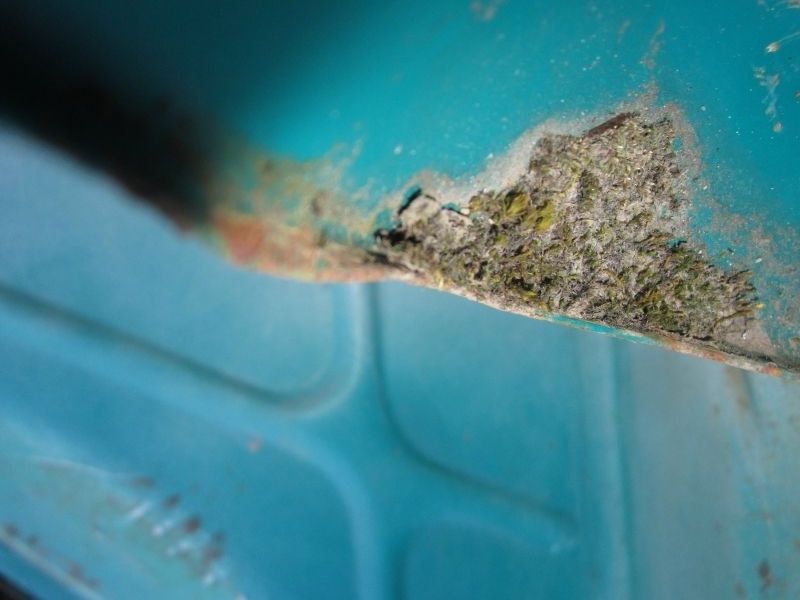 A Rolling Vespa Gathers No Moss.