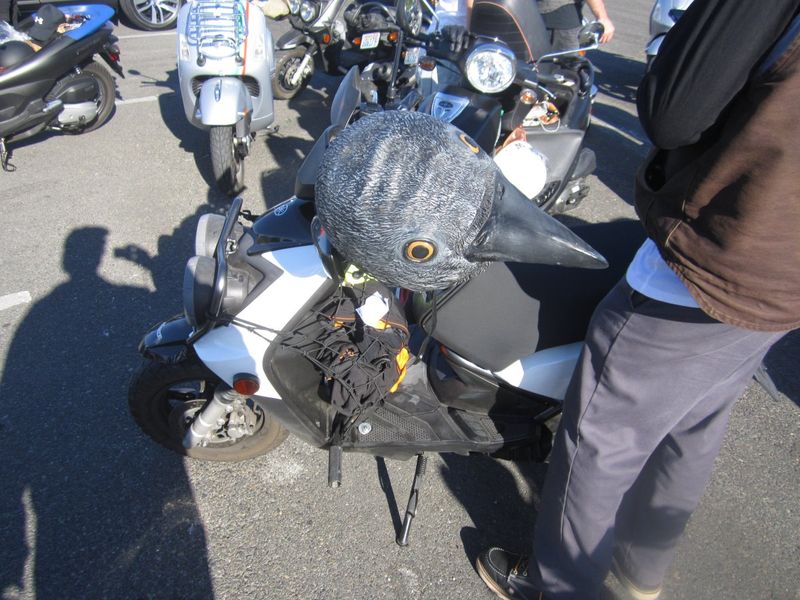 Forum member supplied image with no explanatory text