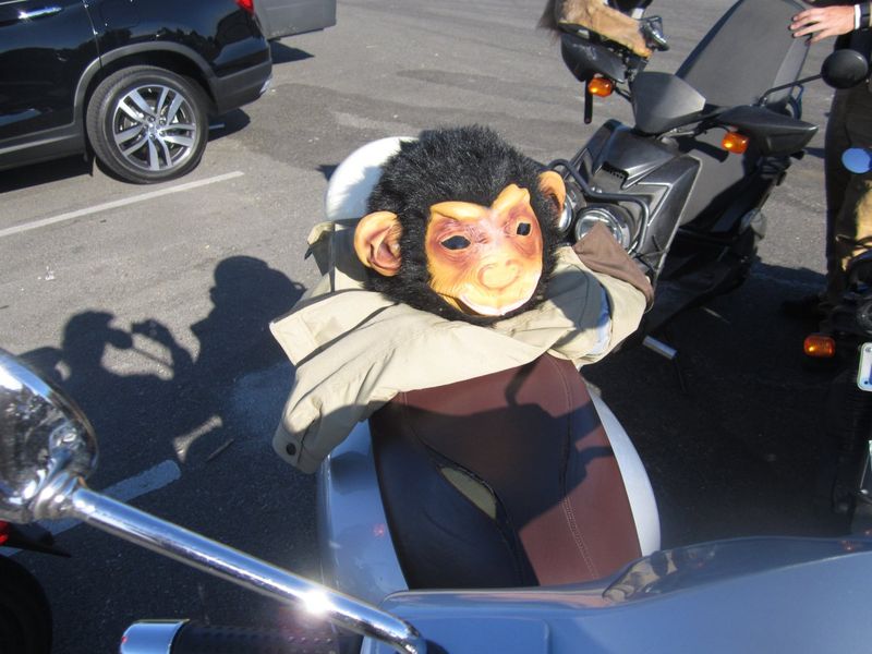 Forum member supplied image with no explanatory text