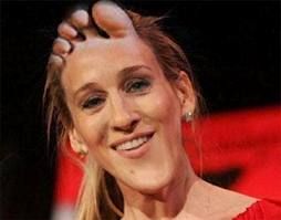 Forum member supplied image with no explanatory text