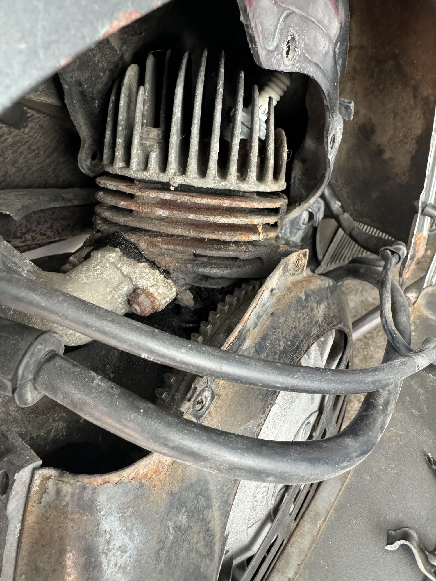 Forum member supplied image with no explanatory text