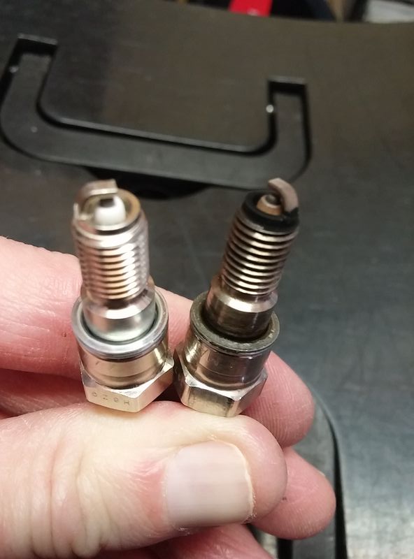 Forum member supplied image with no explanatory text