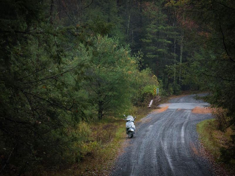 Vespa GTS 250ie in Rothrock State Forest on Bear Meadows Road.