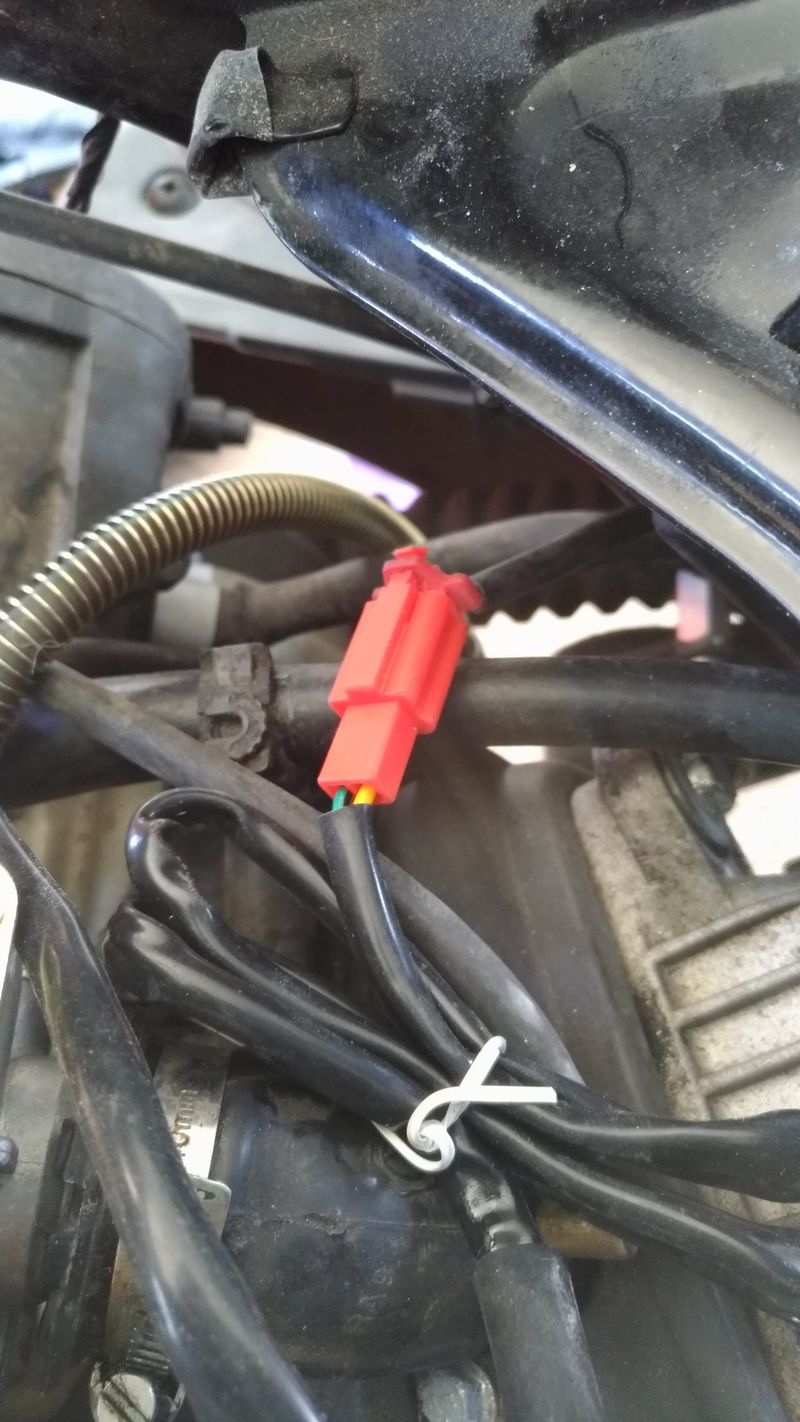 Forum member supplied image with no explanatory text