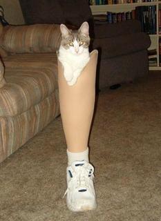 Forum member supplied image with no explanatory text